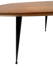 Mid-Century Modern TB16 Coffee Table by Cees Braakman for Pastoe, 1953